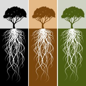 3 tree drawings
