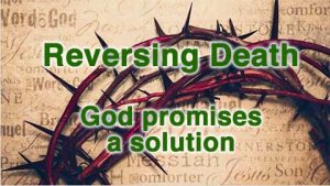 God reverses death by bringing a saviour to the world